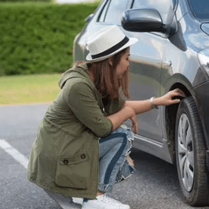 Especialista Elementos del automóvil: Fundamentos