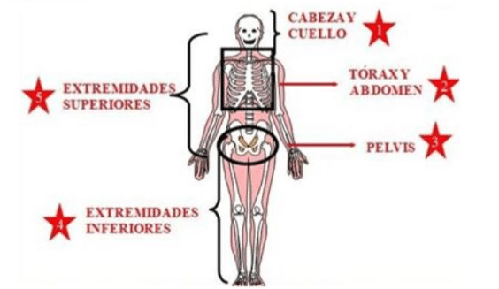 FP en Movilidad Segura y Sostenible