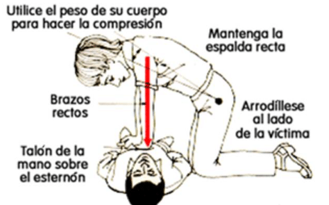FP en Movilidad Segura y Sostenible