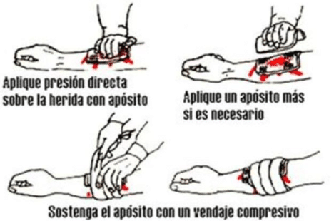 FP en Movilidad Segura y Sostenible