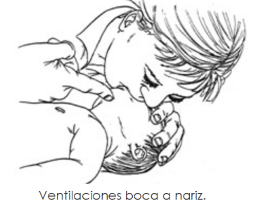 FP en Movilidad Segura y Sostenible