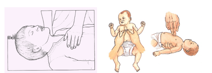 FP en Movilidad Segura y Sostenible