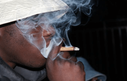 FP en Movilidad Segura y Sostenible: El primer paso hacia una conducción segura droga