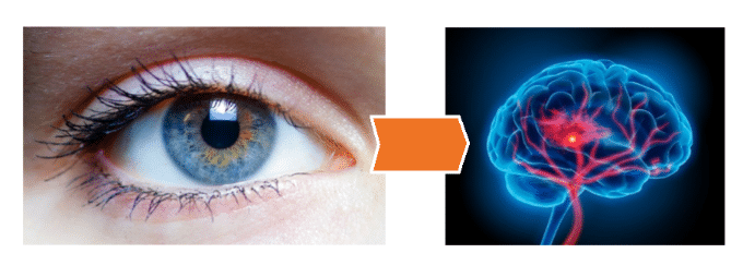 Comportamientos en situaciones de emergencia: claves para el profesor de autoescuela y formador vial