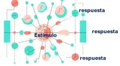 aprendizaje conductista del profesor de autoescuela