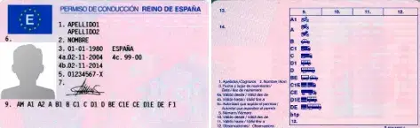 carnet de conducir del director de autoescuela