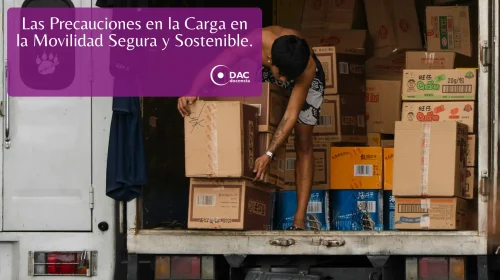 La Ley de Movilidad pone en valor el Certificado Profesional de Asesor en Movilidad Segura y Sostenible (10)