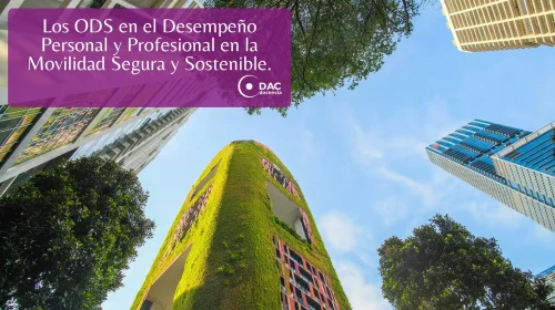 La Ley de Movilidad pone en valor el Certificado Profesional de Asesor en Movilidad Segura y Sostenible (27)