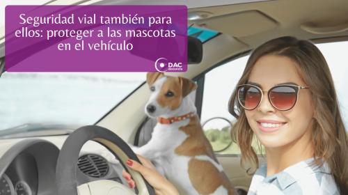 Seguridad-vial-tambien-para-ellos-proteger-a-las-mascotas-en-el-vehiculo